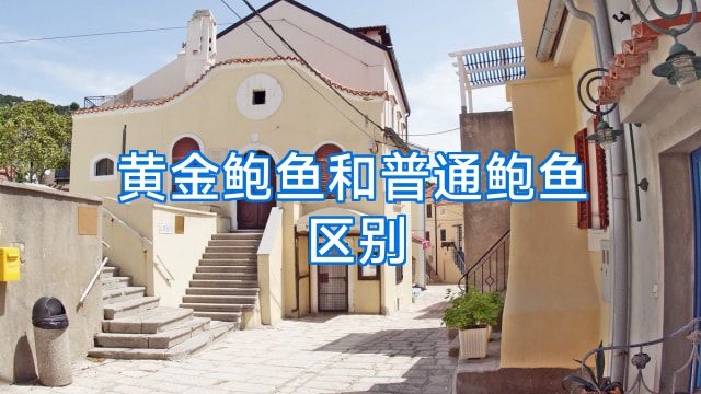 黄金鲍鱼和普通鲍鱼区别