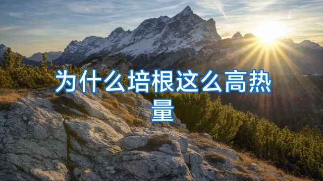 为什么培根这么高热量