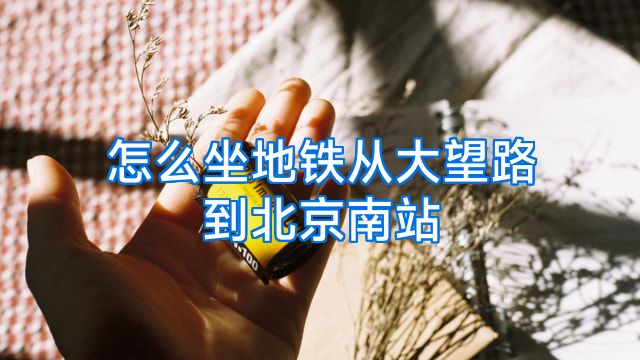 怎么坐地铁从大望路到北京南站