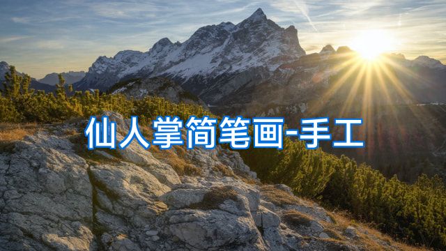 仙人掌简笔画-手工