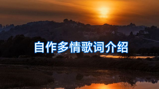 自作多情歌词介绍