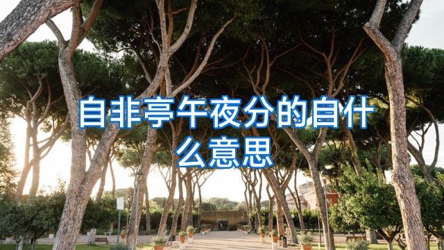 自非亭午夜分的自什么意思