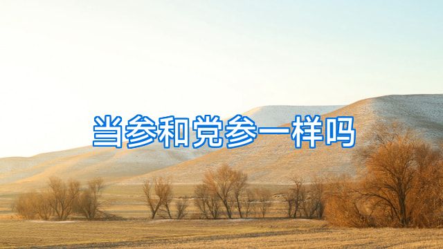 当参和党参一样吗