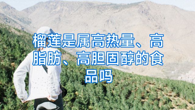 榴莲是属高热量、高脂肪、高胆固醇的食品吗