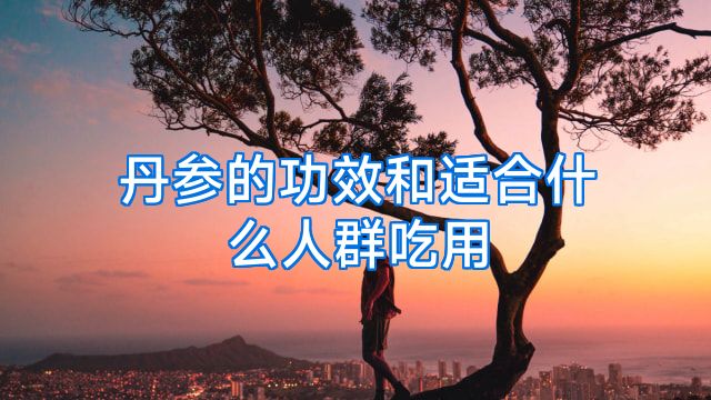 丹参的功效和适合什么人群吃用