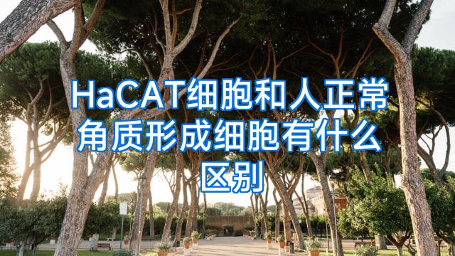 HaCAT细胞和人正常角质形成细胞有什么区别
