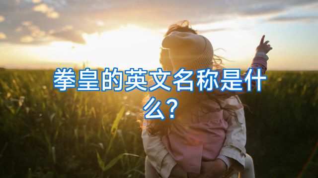 拳皇的英文名称是什么?