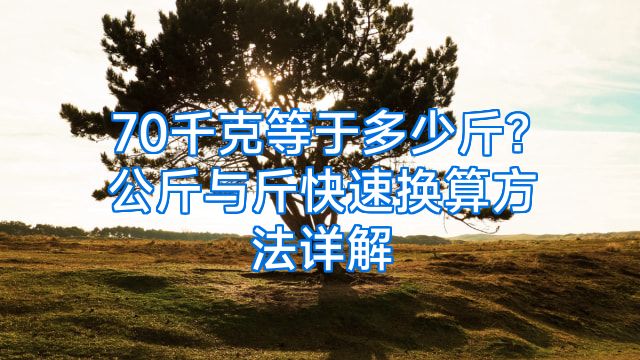 70千克等于多少斤？公斤与斤快速换算方法详解
