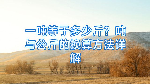 一吨等于多少斤？吨与公斤的换算方法详解